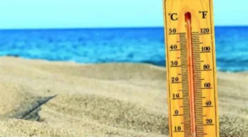 تحذير لمرتادي طرق القاهرة.. هيئة الأرصاد تحدد تدابير احترازية لمواجهة الرياح والشبورة